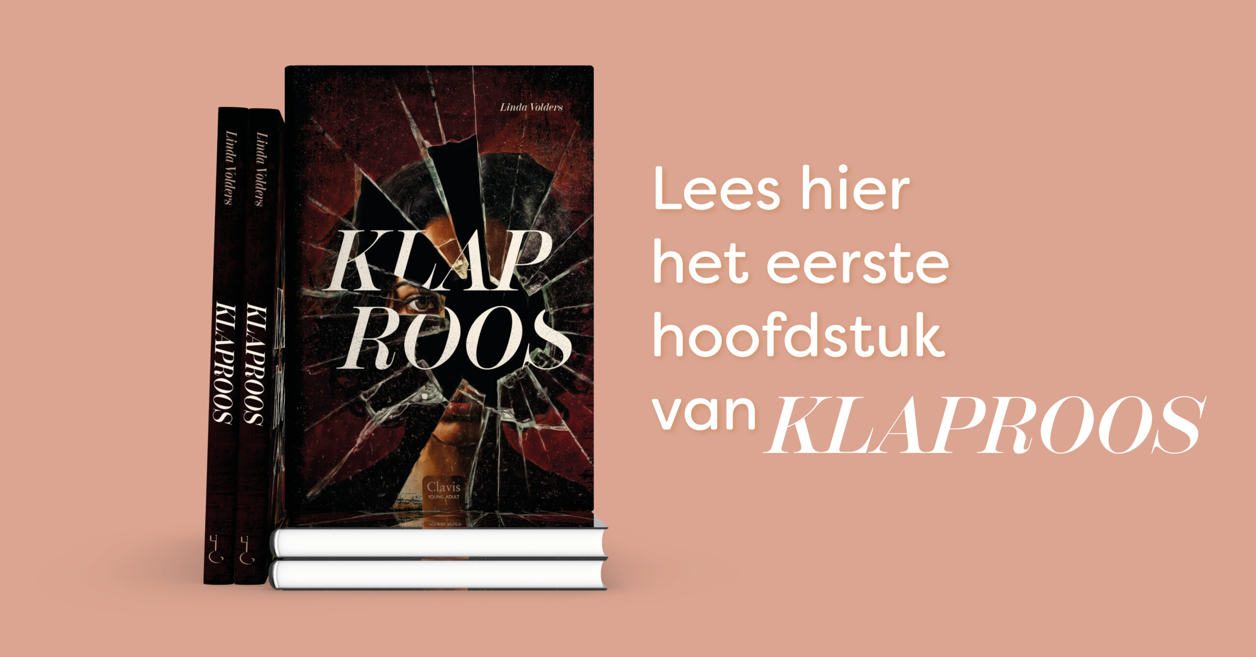 Teaser Klaproos