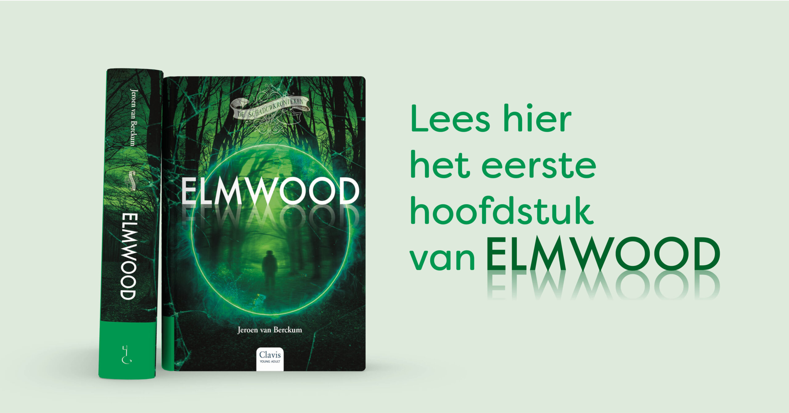 Teaser Elmwood