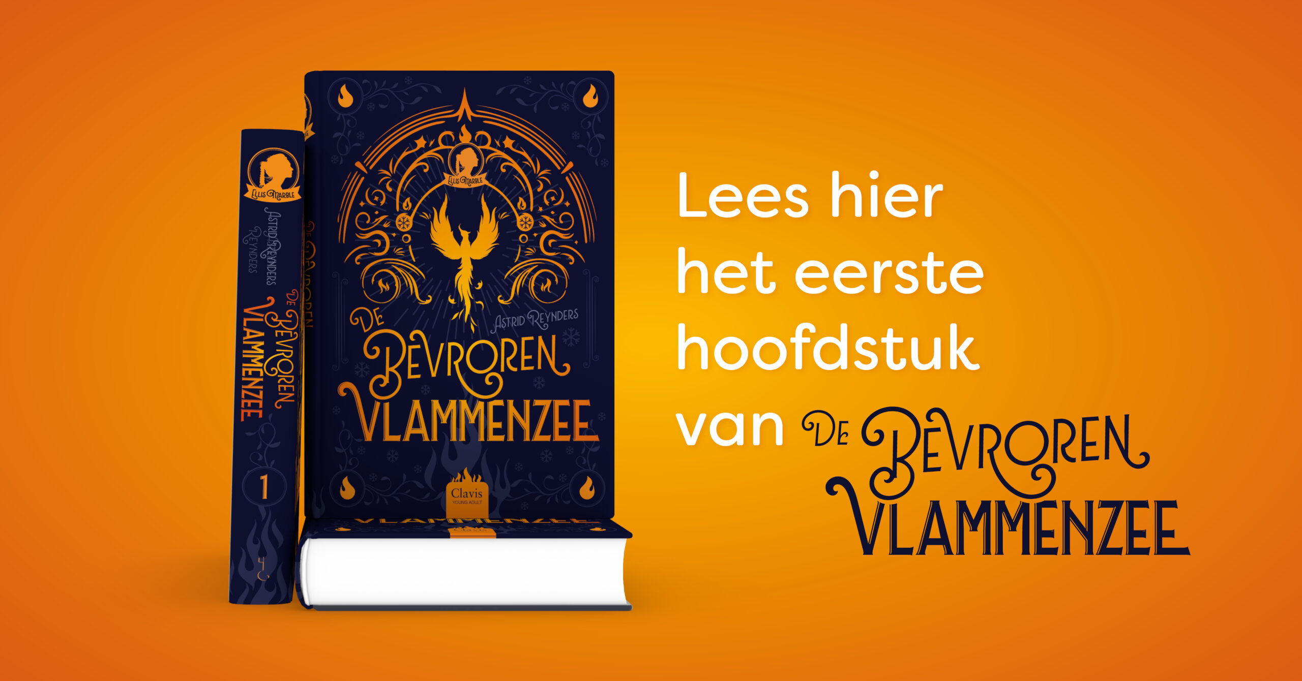 Teaser De bevroren vlammenzee